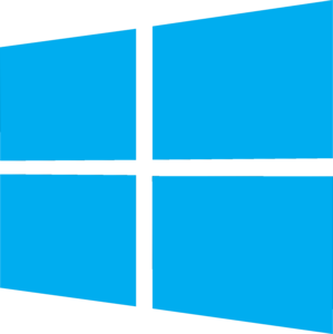 Windows x86_64